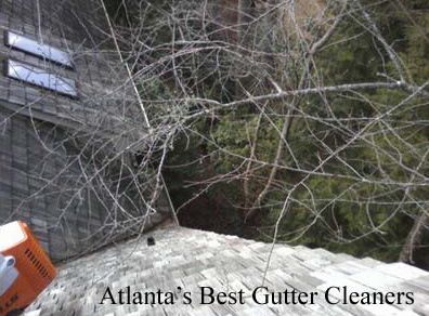 Marietta's Best Gutter Cleaners Before and After Tree Pruning