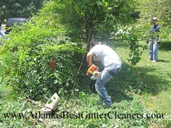 Marietta's Best Gutter Cleaners does tree pruning of limbs coming in range of the gutters.