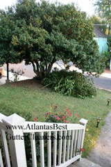 Marietta's Best Gutter Cleaners does tree pruning of limbs coming in range of the gutters.